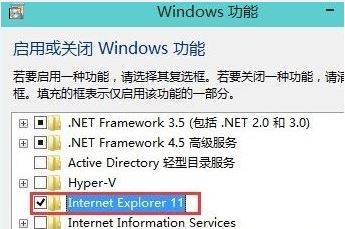 勾选Internet Explorer 11