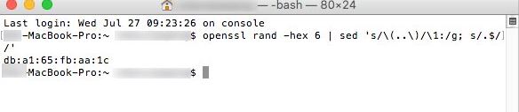 命令：openssl rand -hex 6 | sed 's/\(..\)/\1:/g; s/.$//'