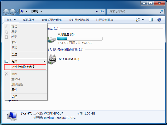 文件夹和搜索选项