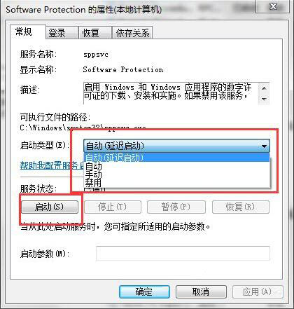Software Protection 的属性