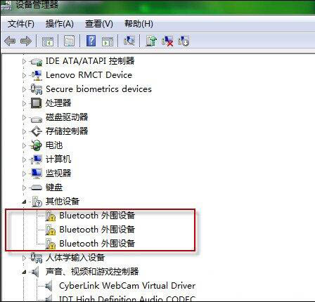 Bluetooth外围设备驱动错误