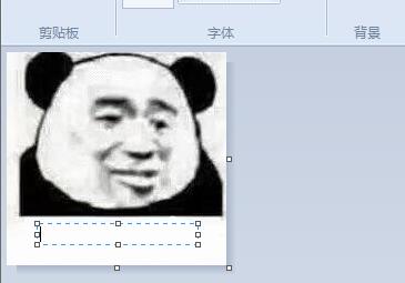 输入文字