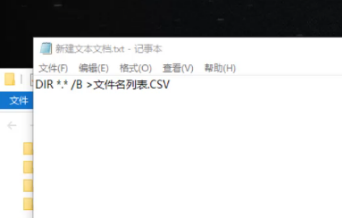 输入：DIR*.*/B>文件名列表.CSV  命令