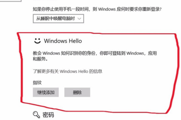 Windows Hello选项