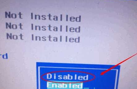 Disabled