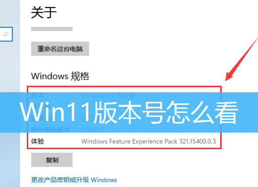 Win11版本号怎么看