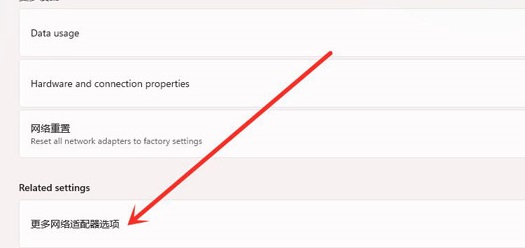 更多网络适配器选项