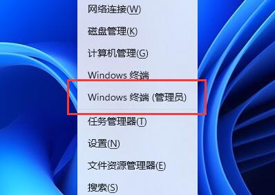 Windows 终端 (管理员)