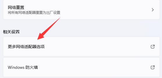更多网络适配器选项