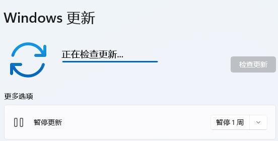 正在检查更新
