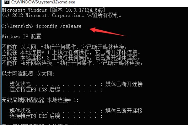 ipconfig /release