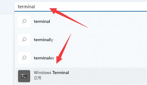 Terminal