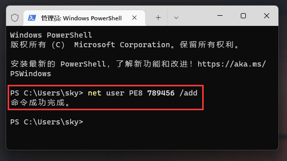 net user PE8 789456 /add